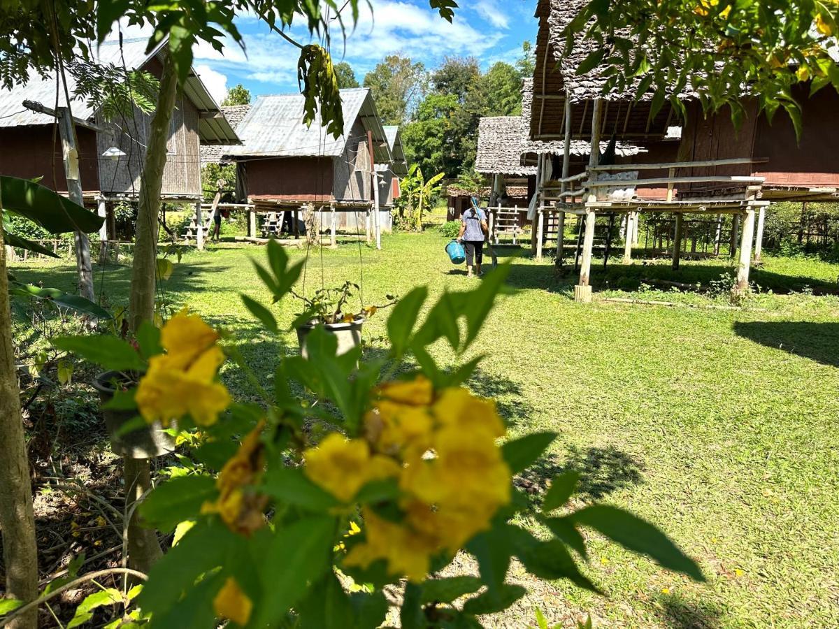 Twin Hut Hotel Pai Luaran gambar